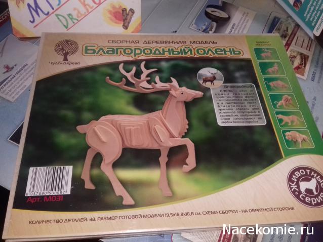 "Живой уголок"