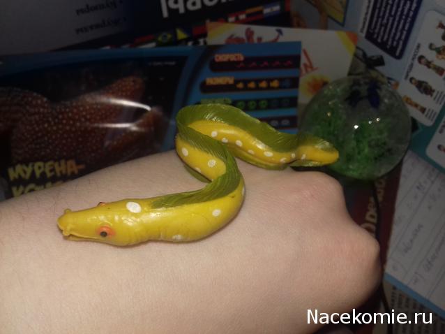 "Живой уголок"