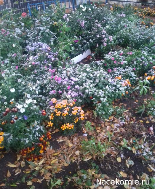 "Живой уголок"