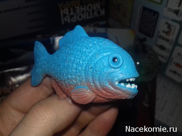 "Живой уголок"