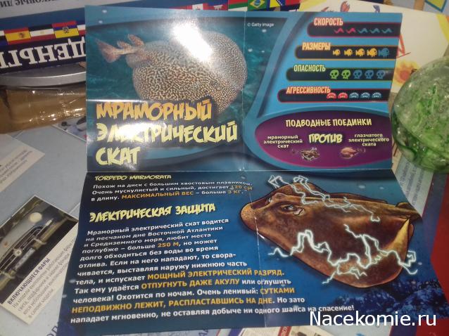 "Живой уголок"