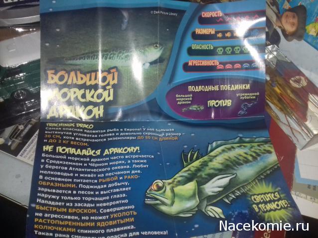 "Живой уголок"