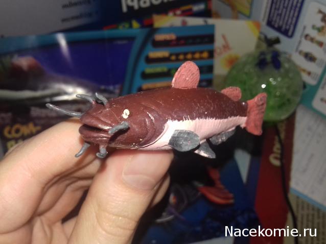 "Живой уголок"