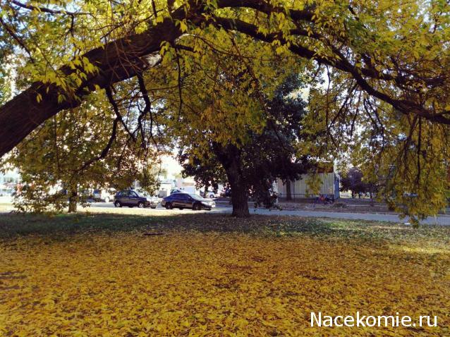 "Живой уголок"