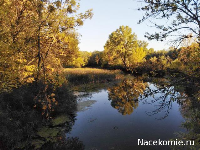"Живой уголок"