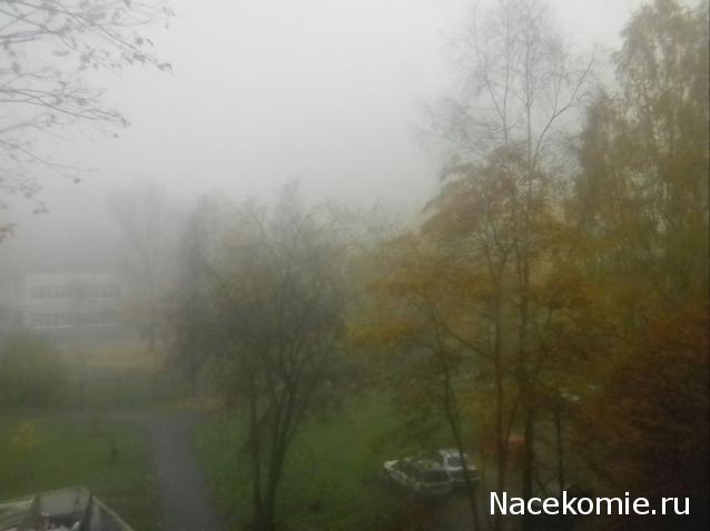 "Живой уголок"