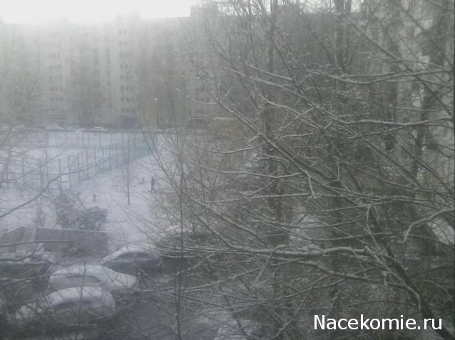 "Живой уголок"