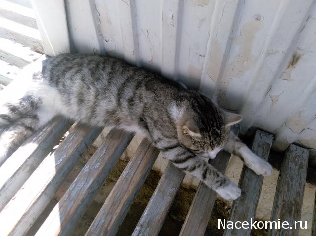 "Живой уголок"