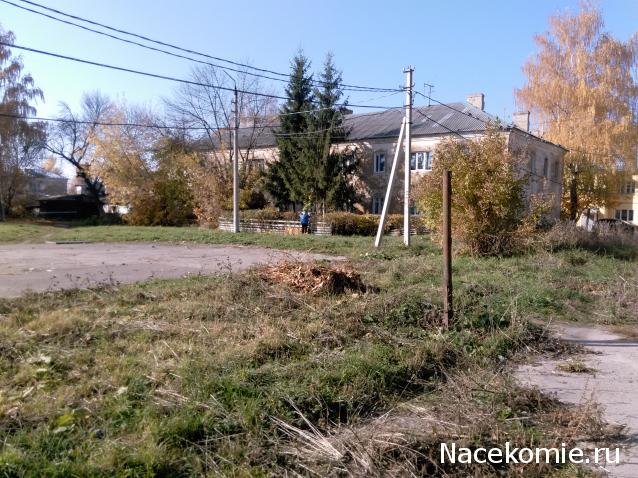 Автолегенды вживую