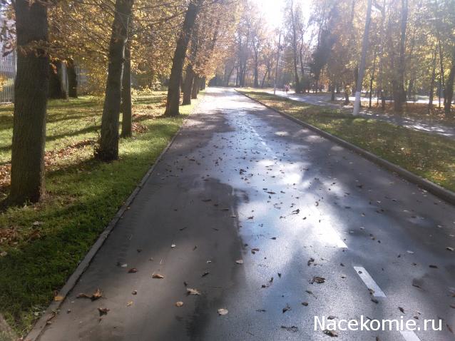 "Живой уголок"