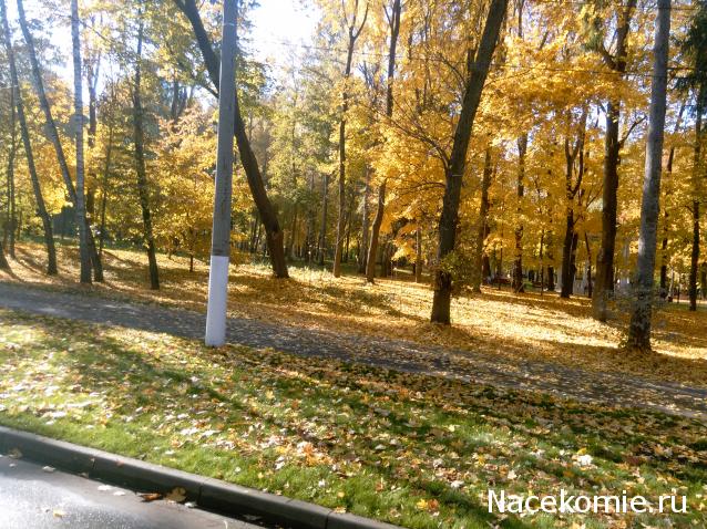 "Живой уголок"