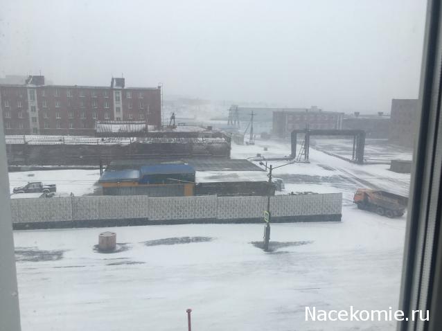 "Живой уголок"