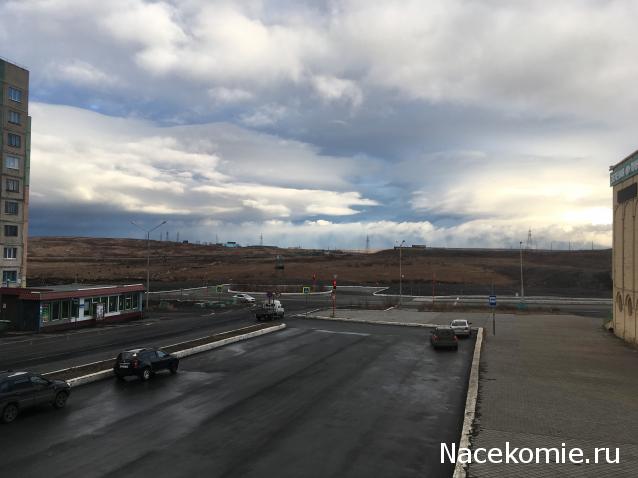 "Живой уголок"