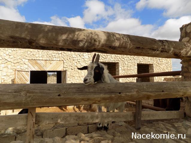 Куклы в народных костюмах №32 Кукла в азербайджанском праздничном костюме