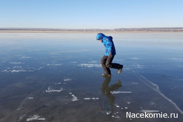 "Живой уголок"