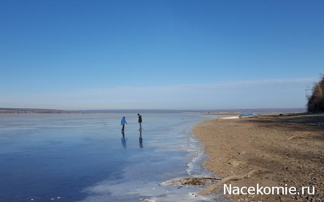 "Живой уголок"