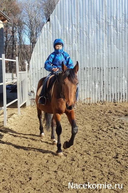 "Живой уголок"