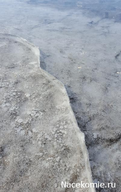 "Живой уголок"