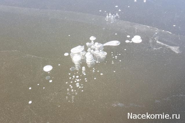 "Живой уголок"