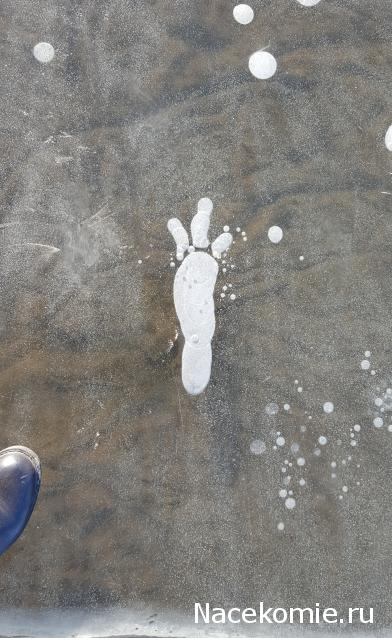 "Живой уголок"