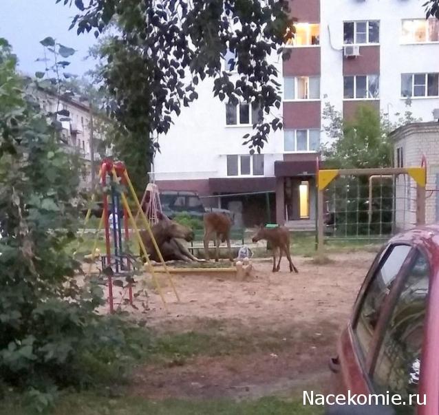 "Живой уголок"