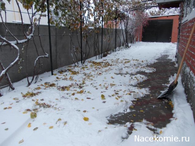 Куклы в народных костюмах – "Девчушки-болтушки"