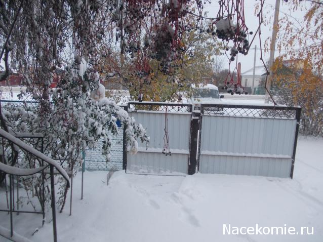 Куклы в народных костюмах – "Девчушки-болтушки"