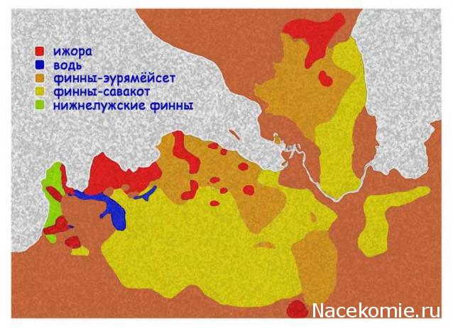 Выставки, музеи, фестивали: анонсы, фотографии, обсуждение