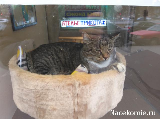 "Живой уголок"