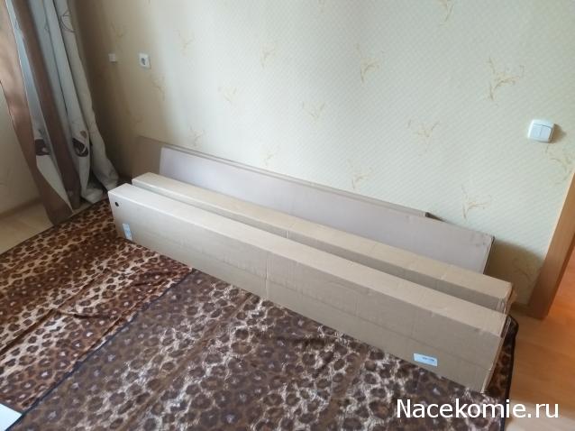 Как вы храните вашу коллекцию?