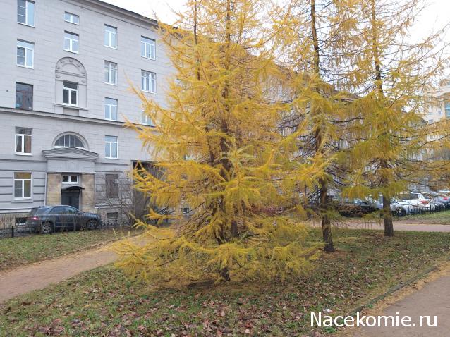 "Живой уголок"