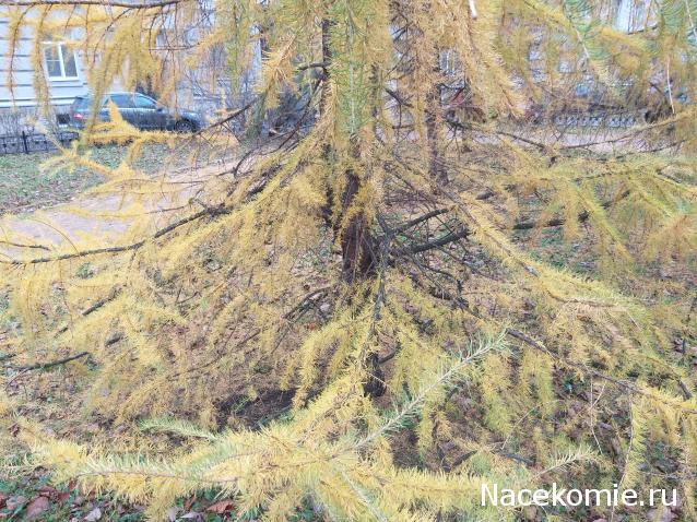 "Живой уголок"