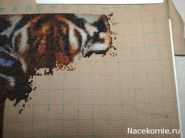 100 крестиков!