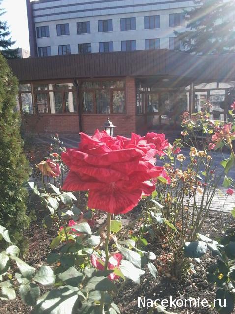 Куклы в народных костюмах – "Девчушки-болтушки"