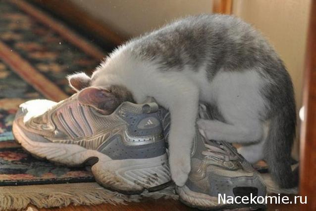 "Живой уголок"