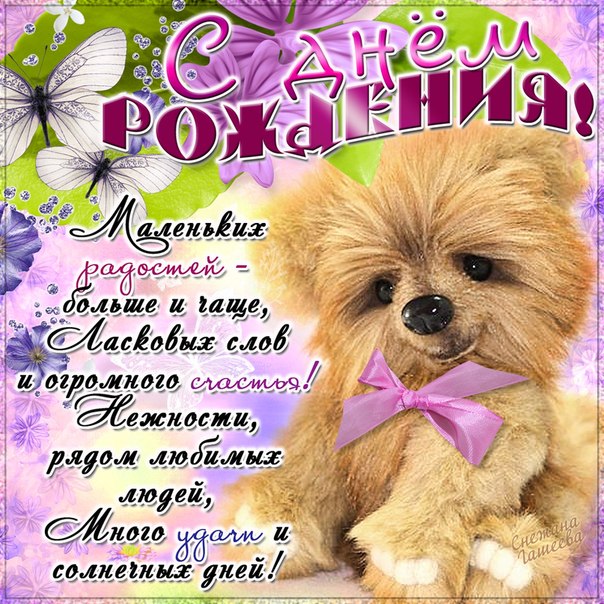 daffodil - Румбокс в бордовых тонах