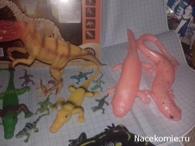 "Живой уголок"