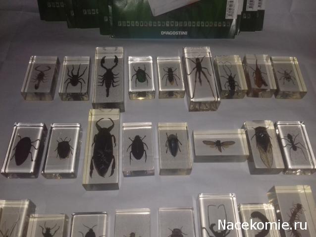 "Живой уголок"