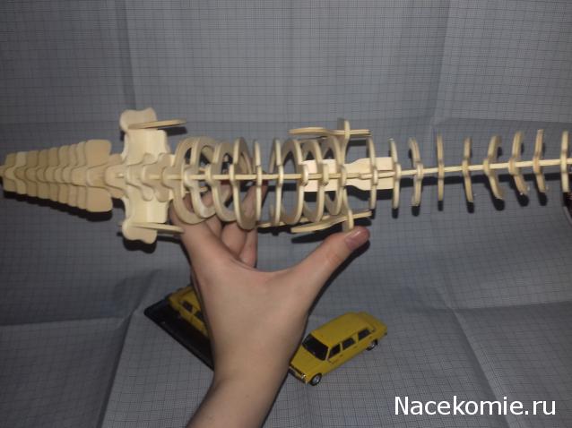 "Живой уголок"