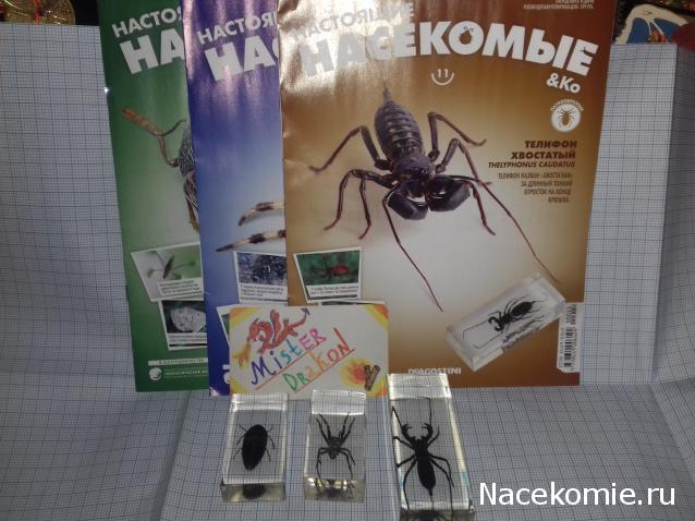 "Живой уголок"