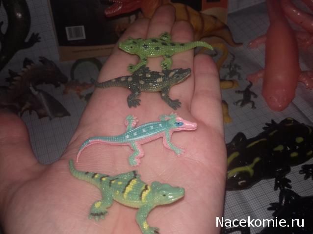 "Живой уголок"