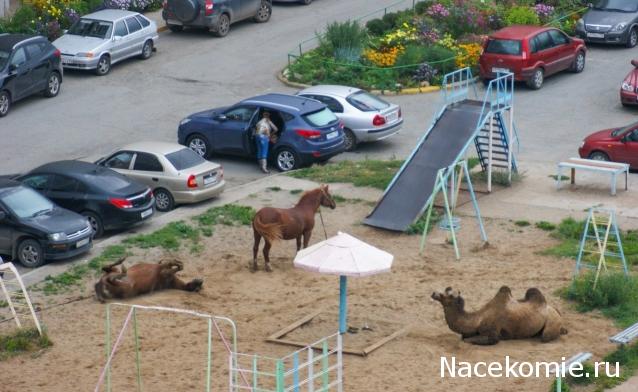 "Живой уголок"