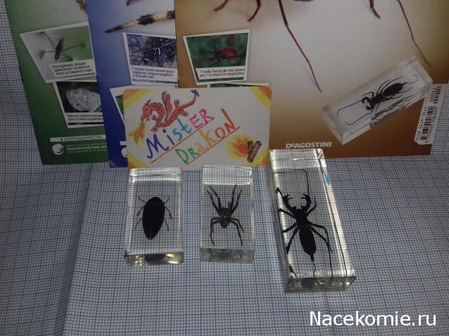 "Живой уголок"