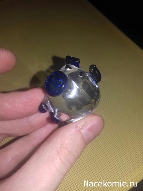 "Живой уголок"