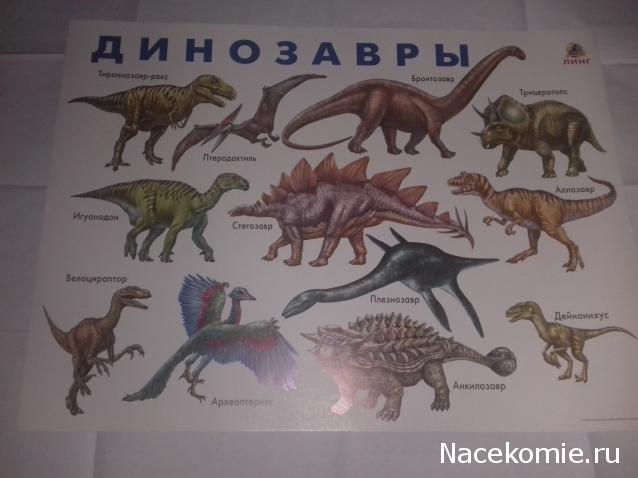 "Живой уголок"