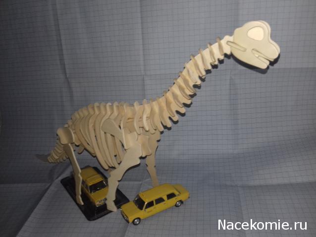 "Живой уголок"