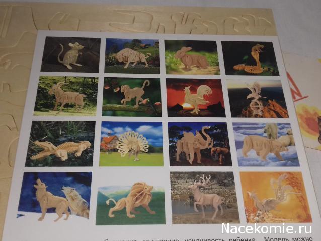 "Живой уголок"