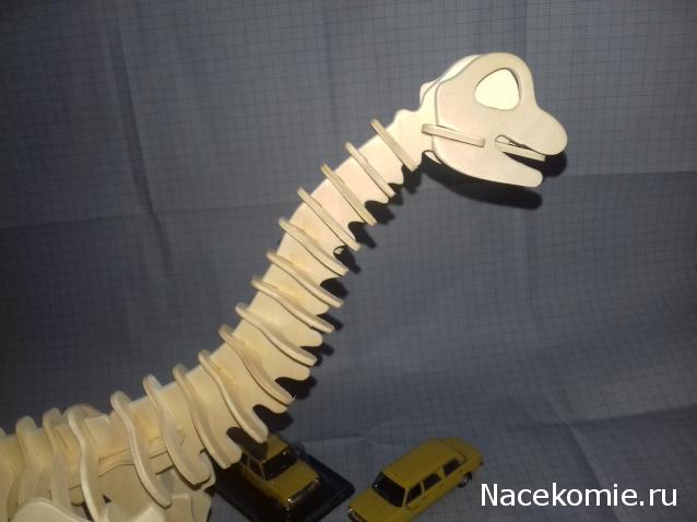 "Живой уголок"