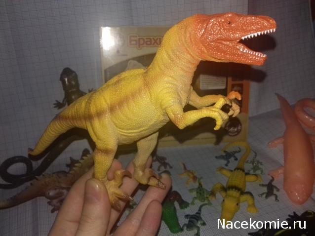 "Живой уголок"