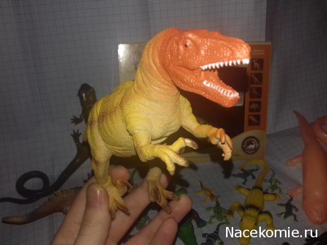 "Живой уголок"